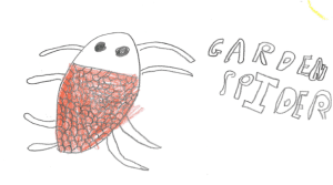 Spider 3 Spider 3