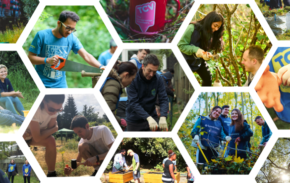 TCV Corporate Volunteering collage