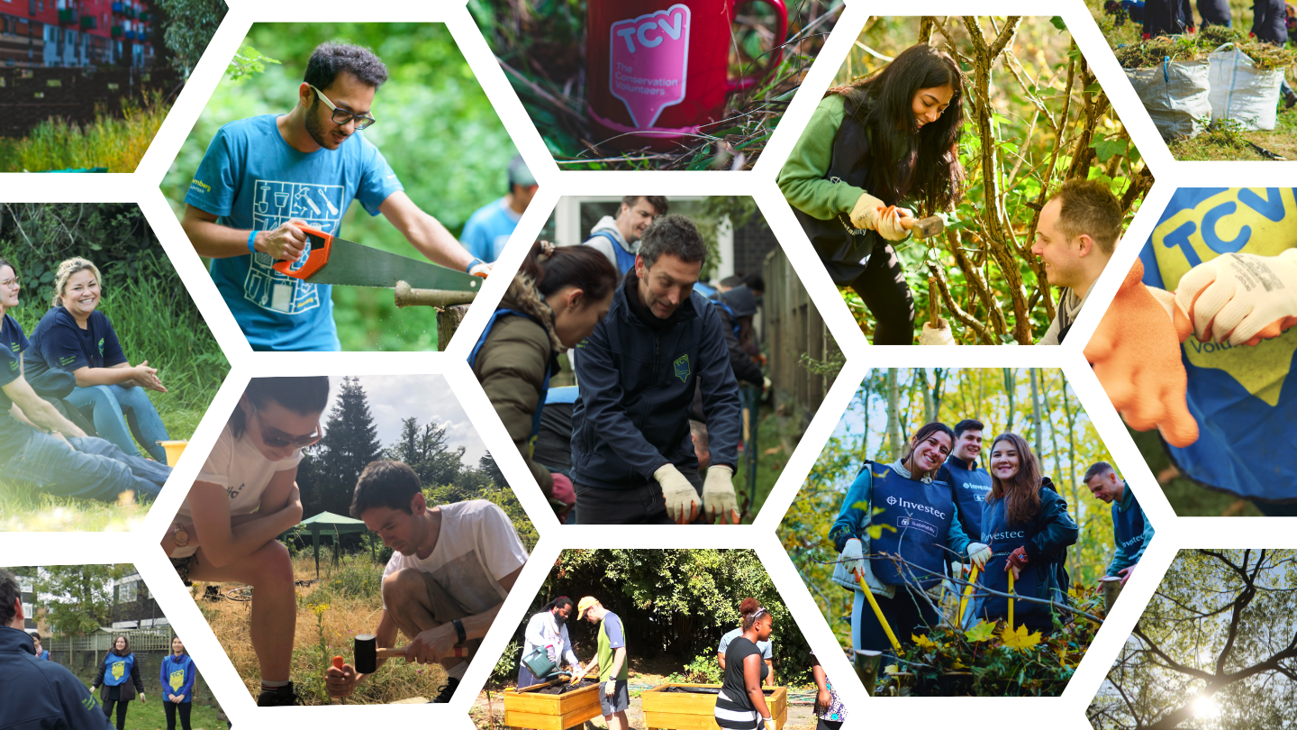 2025 TCV Corporate Volunteering Blog (2) TCV Corporate Volunteering collage