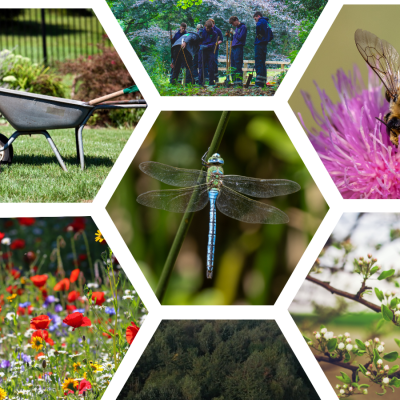 women in conservation blog header dn