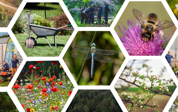 women in conservation blog header dn
