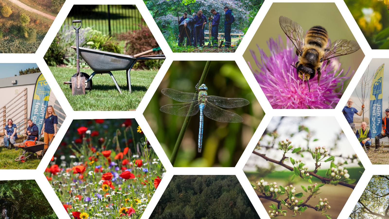 women in conservation blog header dn
