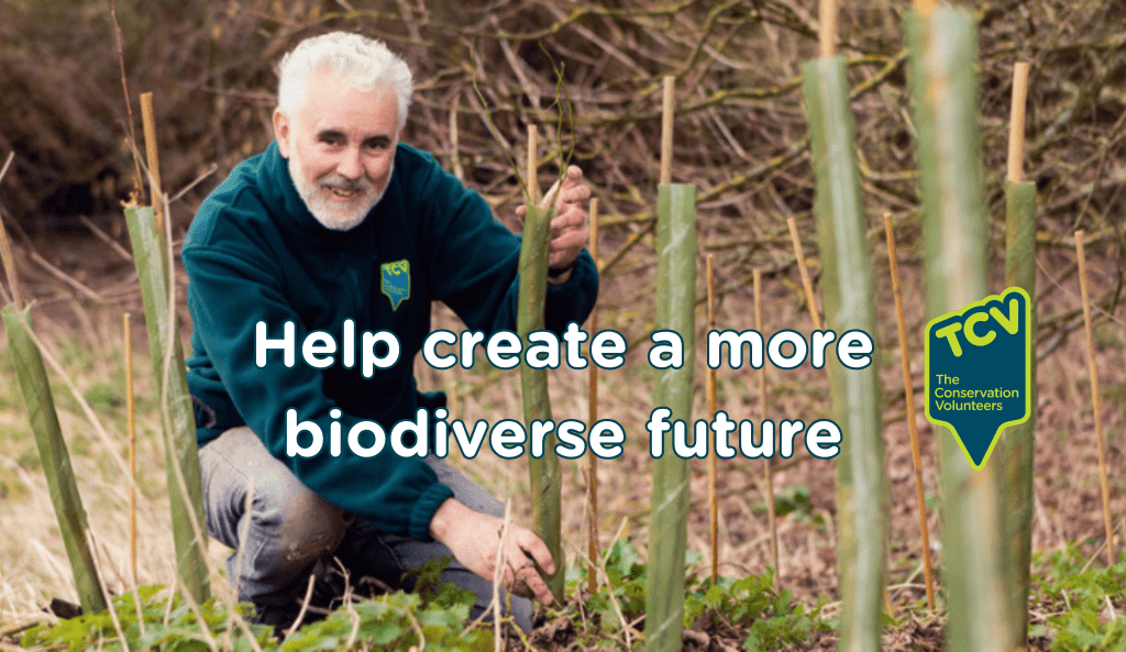 Fundraising LP - Help create a biodiverse futurev3 Plant a tree - biodiverse LP