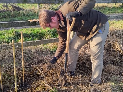 NE Community Projects