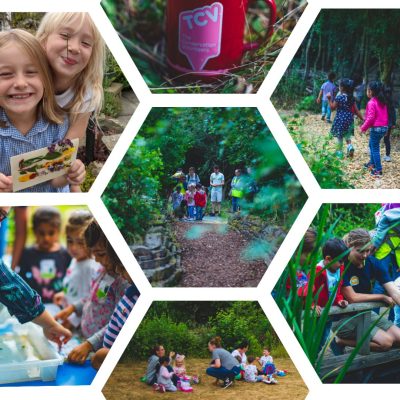 TCV Blog Collage - various summer activities with children