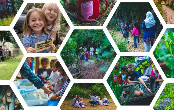 TCV Blog Collage - various summer activities with children