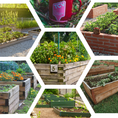 Raised bed collage