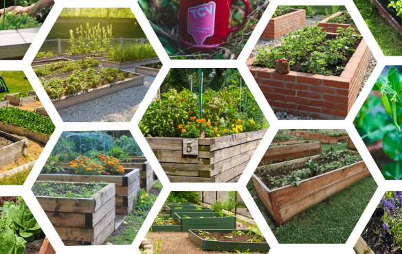 Raised bed collage