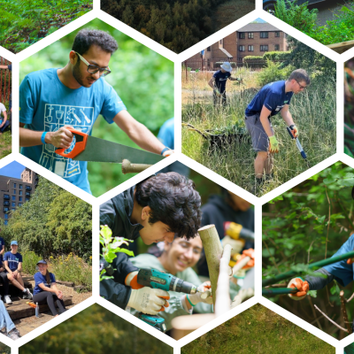 2025 TCV x Bloomberg CSR / ESG volunteering collage
