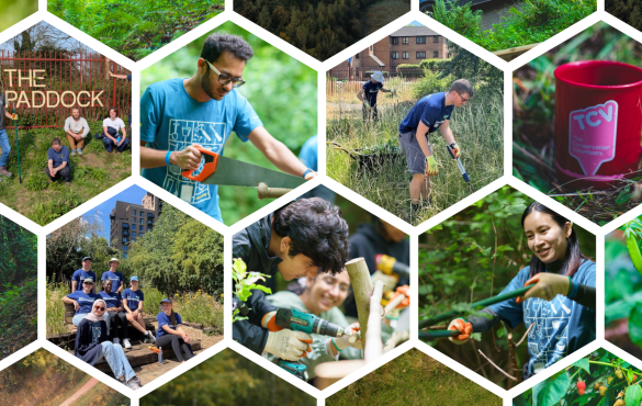 2025 TCV x Bloomberg CSR / ESG volunteering collage