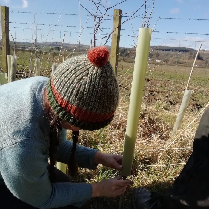 In memory tree tag attached