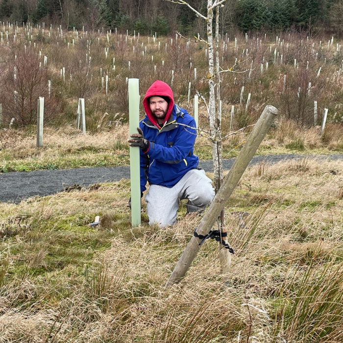 In Memory tree planting
