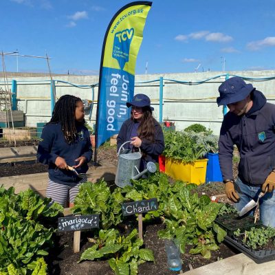 Meridian One Community Garden