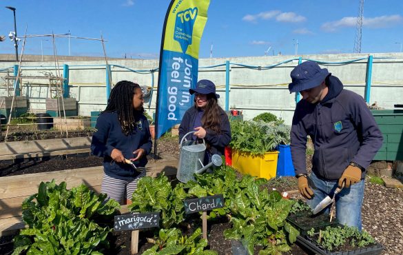 Meridian One Community Garden