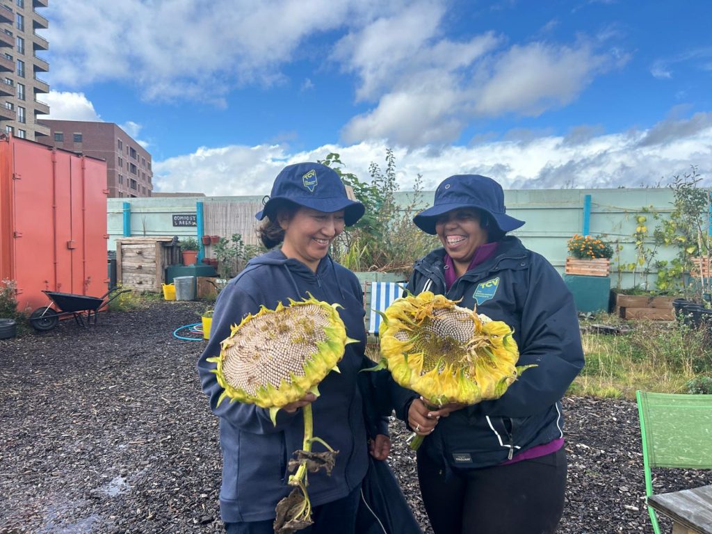 Vols with sunflower heads at Meridian One