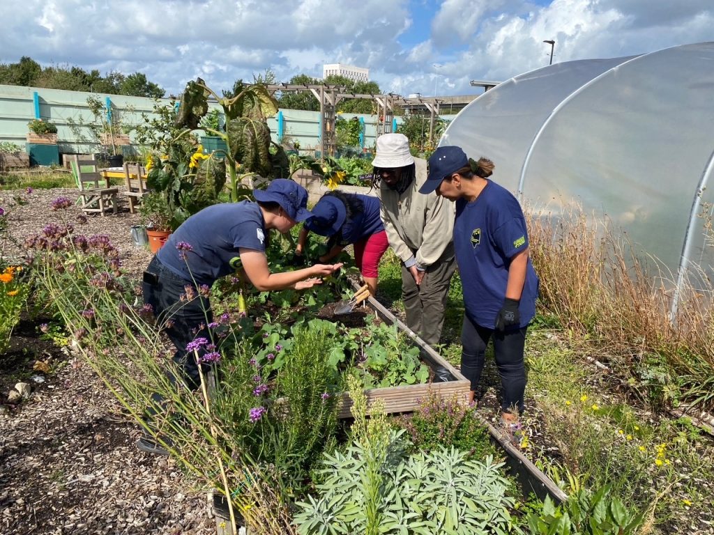 Vols gardening at Meridian One