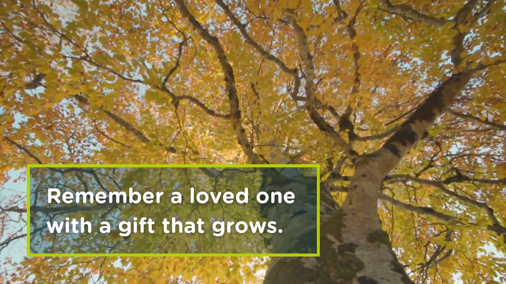 Remember a loved one header