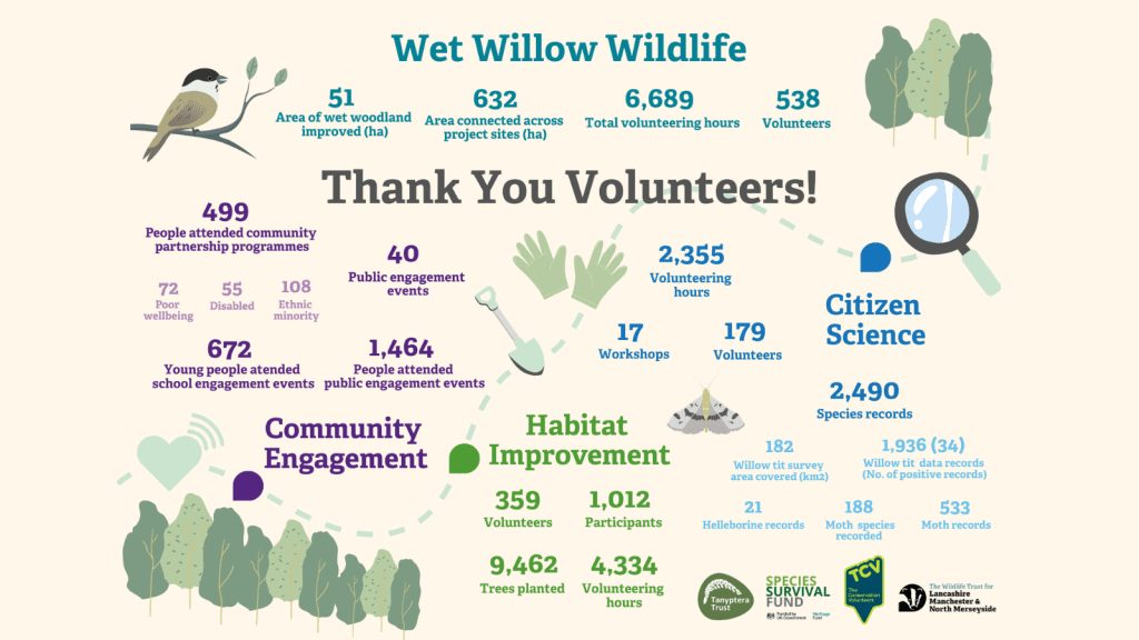 Wet Willow Wildlife infographic