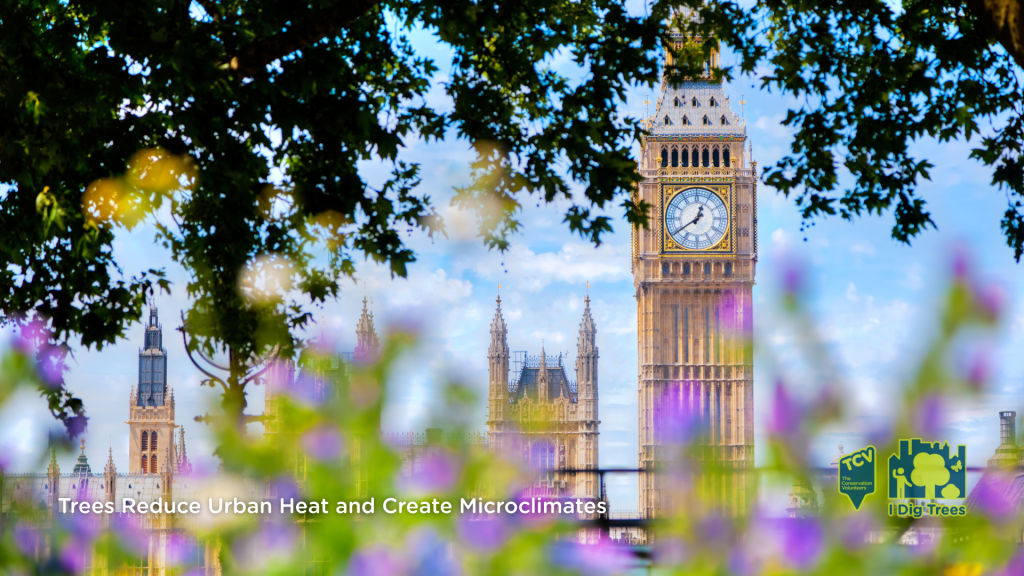 The iconic Big Ben clock tower is visible through a cluster of purple flowers, and framed by trees creating shade, creating a picturesque scene of urban beauty.