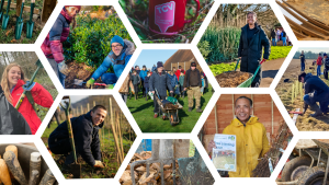 Collage of volunteers planting trees in a garden for the TCV I Dig Trees programme, showcasing teamwork and community effort.