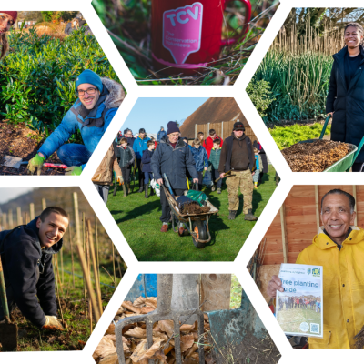Collage of volunteers planting trees in a garden for the TCV I Dig Trees programme, showcasing teamwork and community effort.