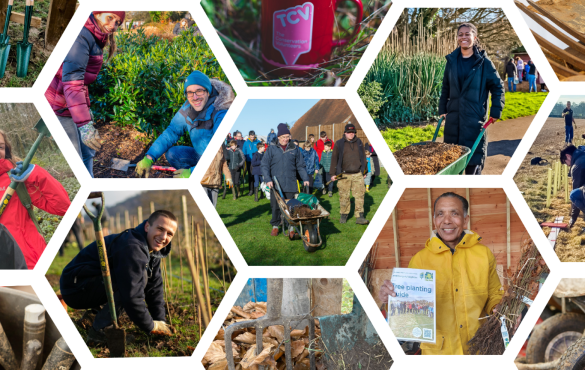 Collage of volunteers planting trees in a garden for the TCV I Dig Trees programme, showcasing teamwork and community effort.