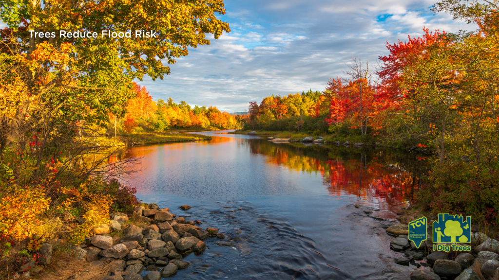 A tranquil river meanders through trees adorned in autumn colours.