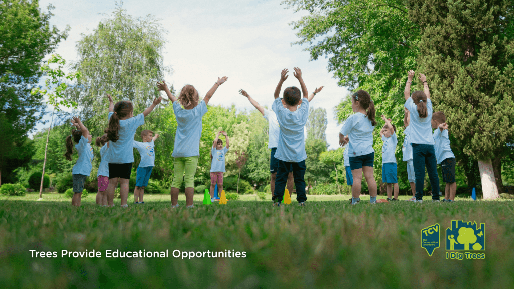 Several children in white shirts are gathered on the grass, surrounded by trees, appearing cheerful and engaged in a group activity.