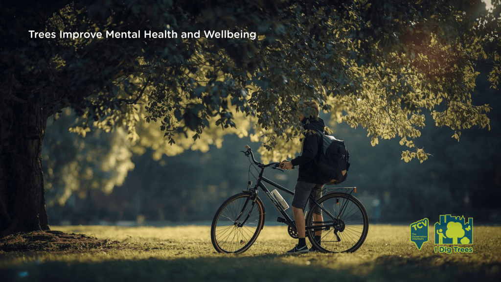 A cyclist in a park scene, near an established tree, accompanied by the phrase "Trees Improve Mental Health and Wellbeing" in the foreground.