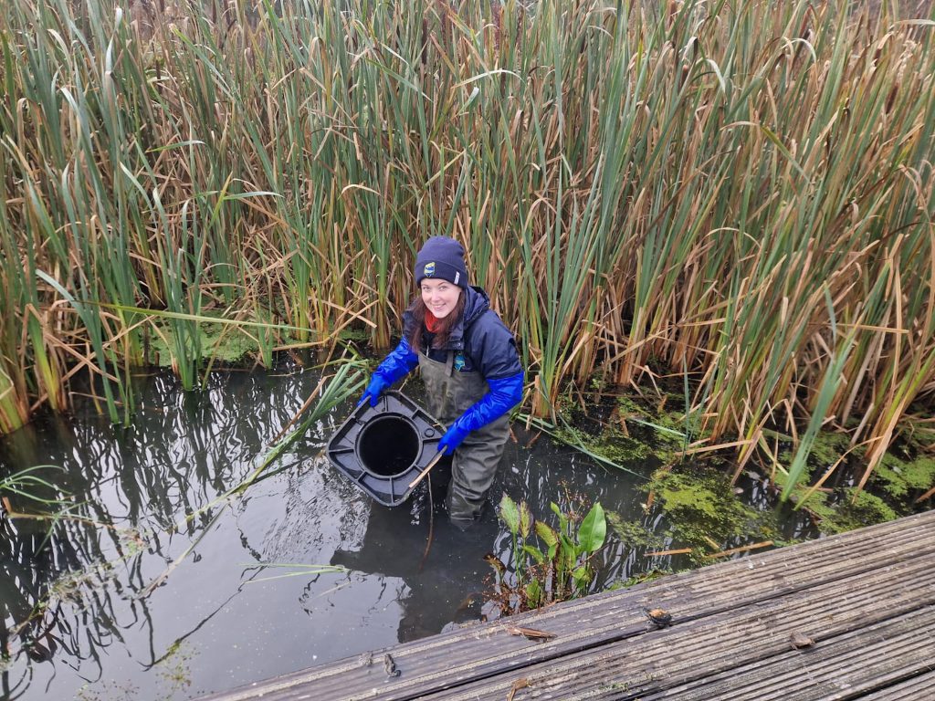 Girl in a pond wearing waders and holding a cone, surrounded by reeds.