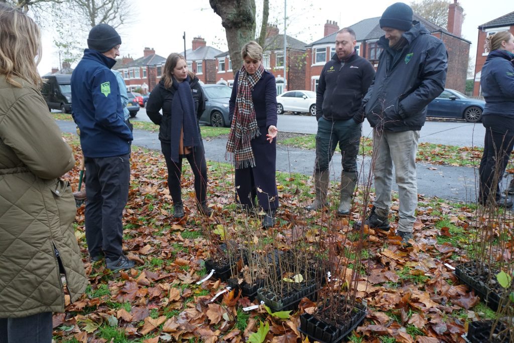 Emma Hardy Visits TCV - Group of people looking at tree whips