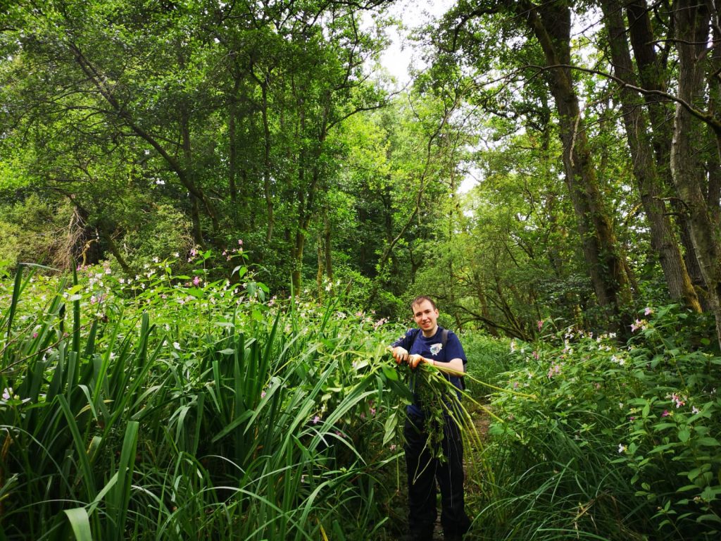 Young man in a forest surrounded by foilage.