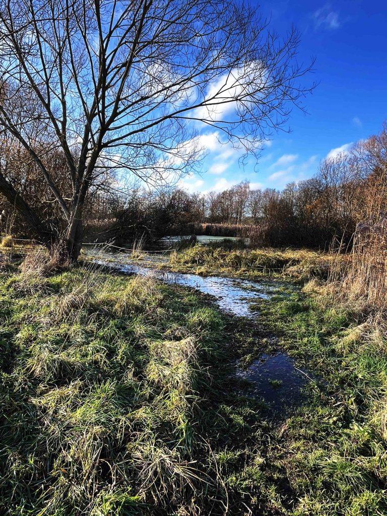 Woodland and a river.