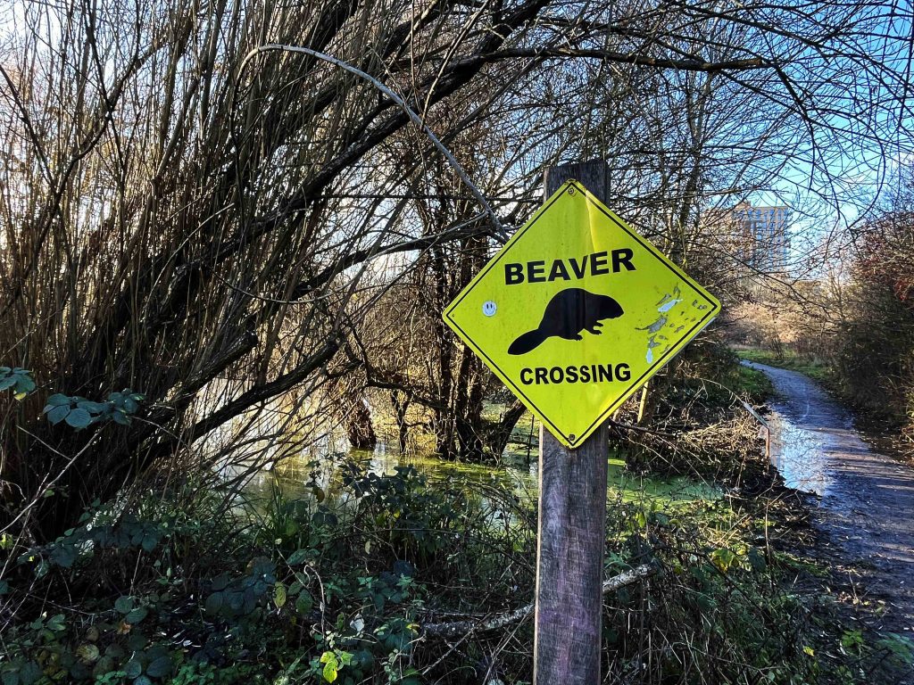 Woodland with a sign saying Beaver crossing.