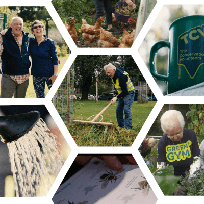 TCV collage of over 60s volunteers