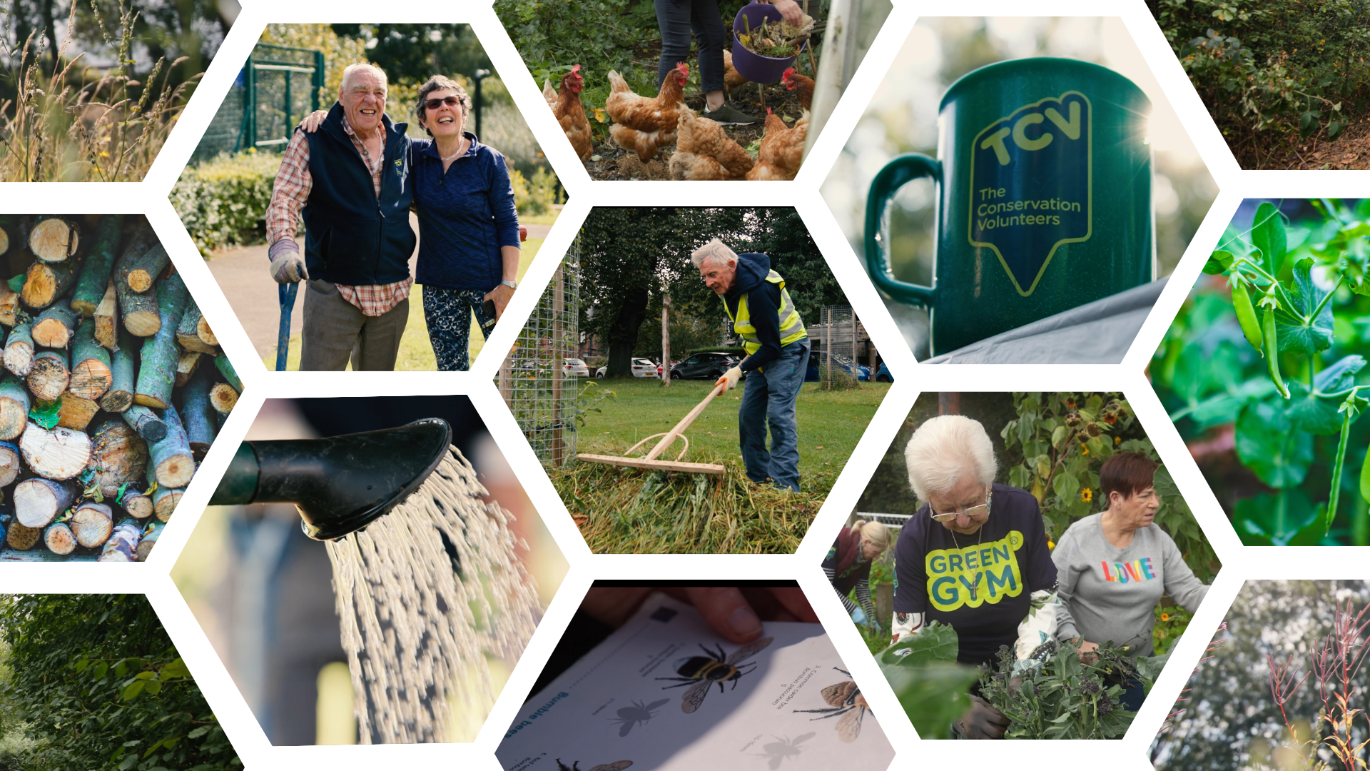 TCV collage of over 60s volunteers