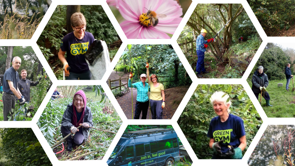 A TCV collage of over 60s volunteers doing a variety of practical tasks.