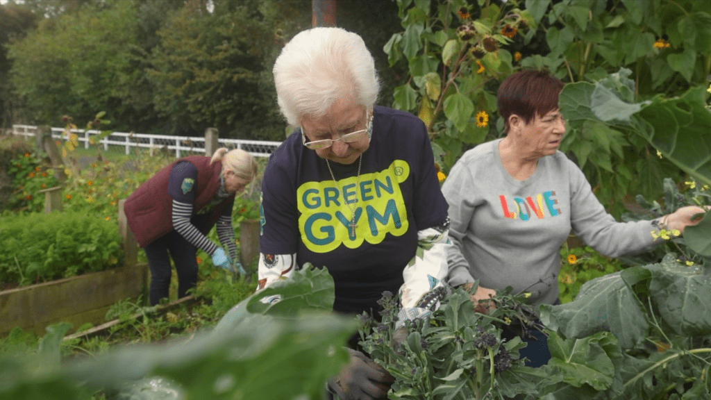 TCV Green Gym volunteers attend raised beds in a vegetable garden.