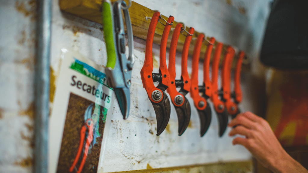 A person reaches for a pair of secateurs on a wall, indicating preparation for gardening activities.