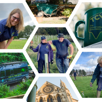 TCV tree planting in Hull and York blog collage