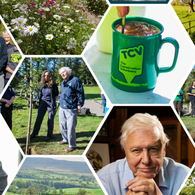 Sir David Attenborough collage