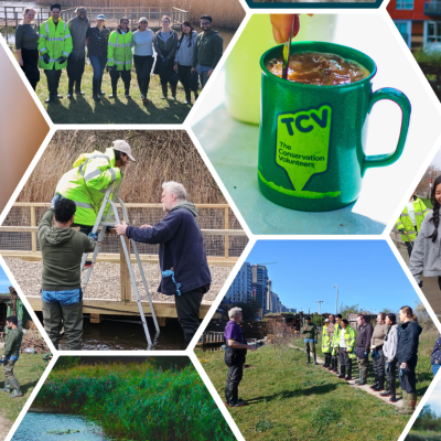 Investec and TCV at Greenwich Peninsula Ecology Park, London collage.