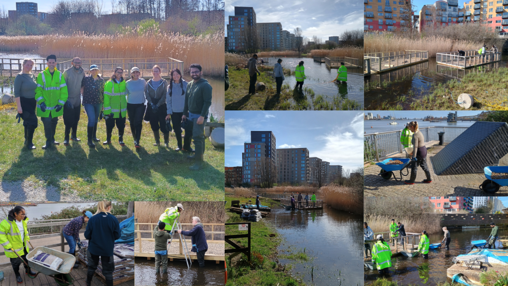 Collage of Investec employees at Greenwich Peninsula Ecology Park with TCV, preparing the new nesting raft