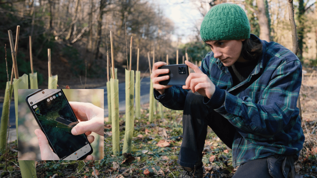 An I Dig Trees planting volunteer takes a photo of the trees planted and records a shapefile on the app.