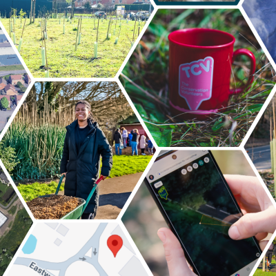 TCV I Dig Trees App collage of images