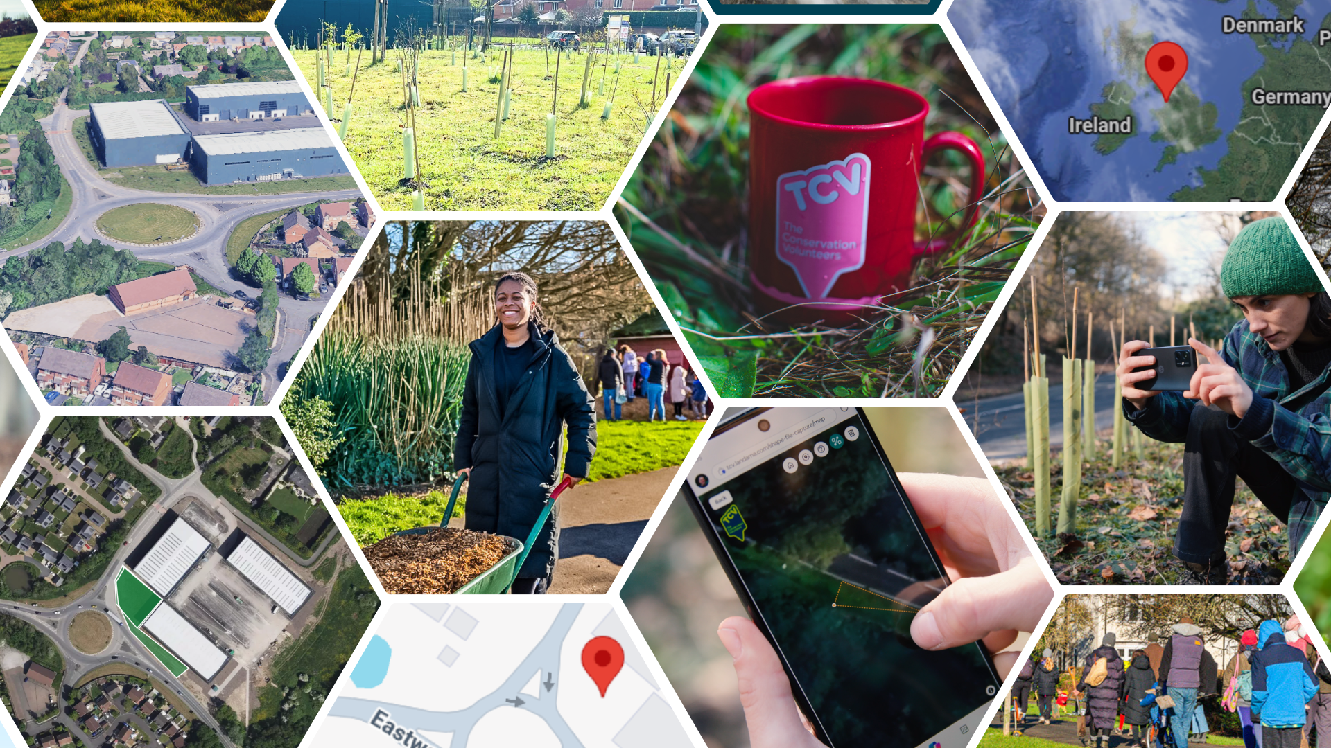 TCV I Dig Trees App collage of images