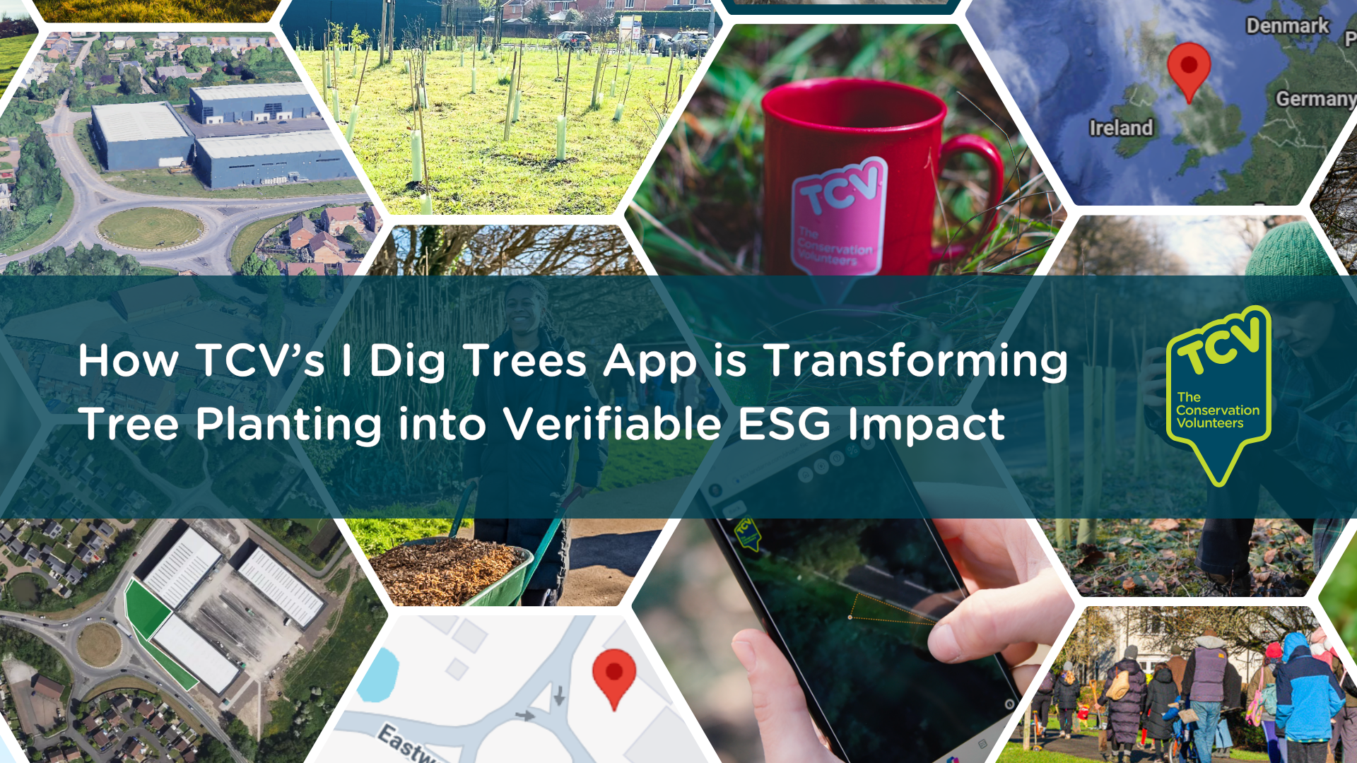 How TCV’s I Dig Trees App is Transforming Tree Planting into Verifiable ...