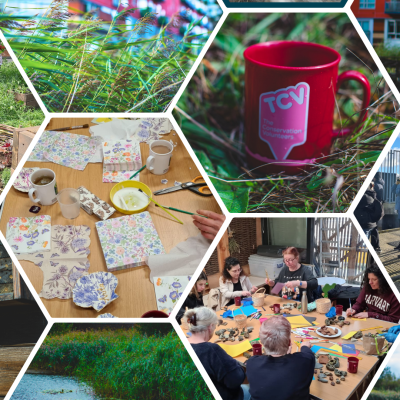 TCV Urban Nature Wellbeing Blog Collage