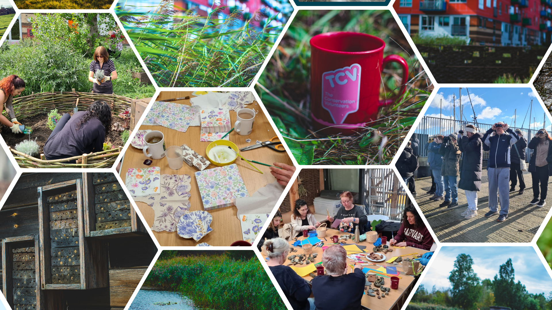 TCV Urban Nature Wellbeing Blog Collage