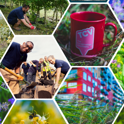 TCV Blog collage - 10 Ways UK Councils and Community Groups Can Boost Local Biodiversity